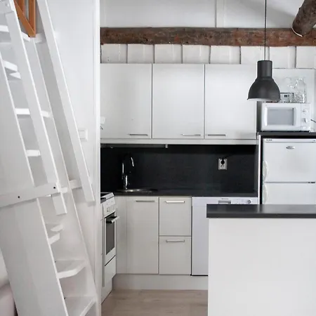 Vuokatinportintie 8 A 10 度假居 *